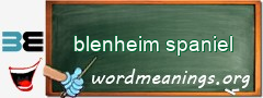 WordMeaning blackboard for blenheim spaniel